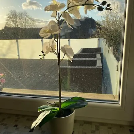 Gaestehaus Brunswiek Obergeschoss Vordorf