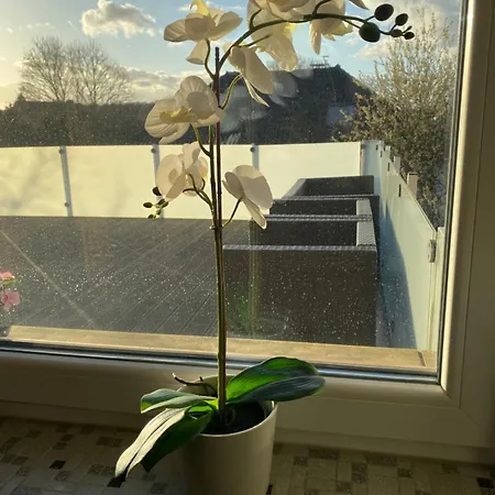 Gaestehaus Brunswiek Obergeschoss